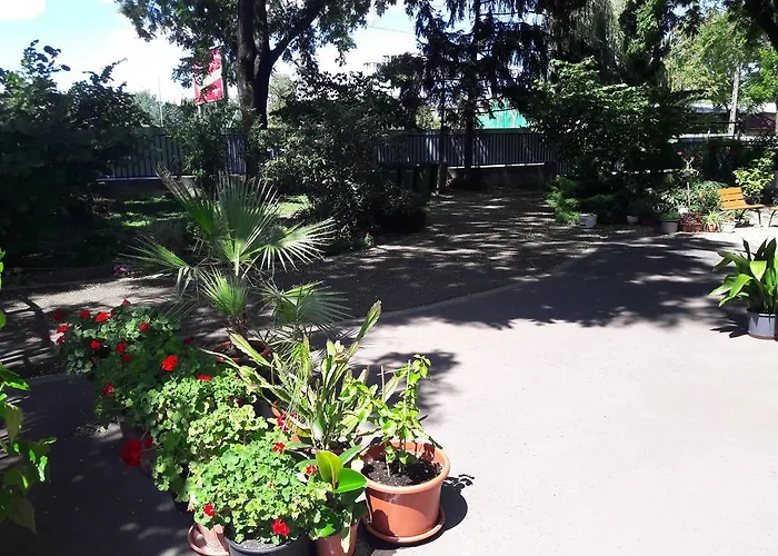 Orchidea Apartman Eger