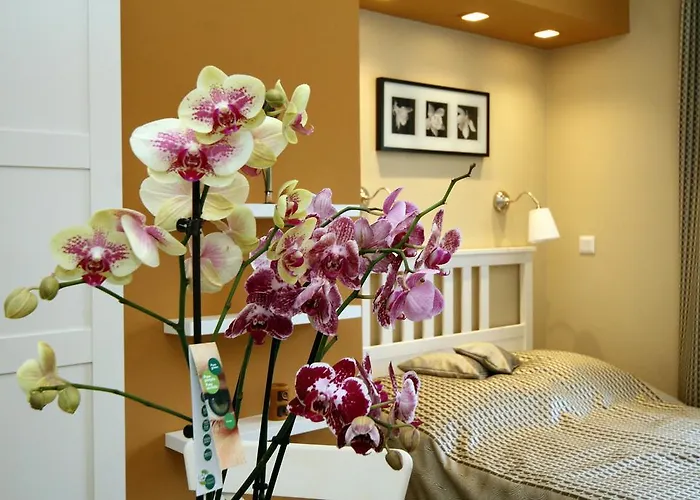 Orchidea Apartman Eger